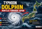 Typhoon Dolphin hurtles towards Japan: Tracker, updates and what to expect