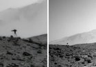 “Jellyfish” spotted in NASA Mars photo sparks frenzy as people dig for explanation