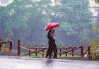 ബംഗാള്‍ ഉള്‍ക്കടലിന് മുകളില്‍ ചക്രവാതച്ചുഴി; സംസ്ഥാനത്ത് മഴ ശക്തമാകും