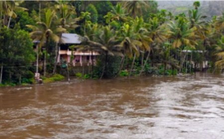 സംസ്ഥാനത്ത് കനത്ത മഴ; പുഴകളിൽ ജലനിരപ്പ് ഉയർന്നു