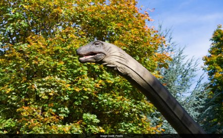 Scientists discover new dinosaur species in Zimbabwe, shed light on early evolution