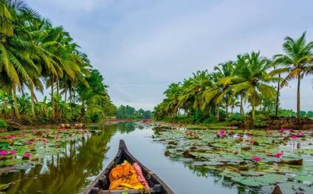 Kerala woos Arab tourists with eye on tourism boom