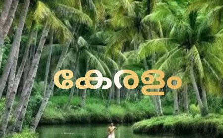 Kerala becomes Keralam. Kera means coconut tree and Alam means land or realm, meaning the land of coconut trees