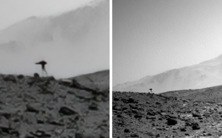 “Jellyfish” spotted in NASA Mars photo sparks frenzy as people dig for explanation