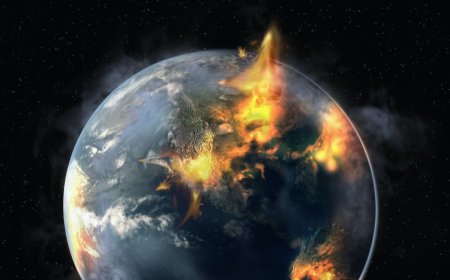 Imminent danger to humanity as scientists warn of mass extinction event on earth