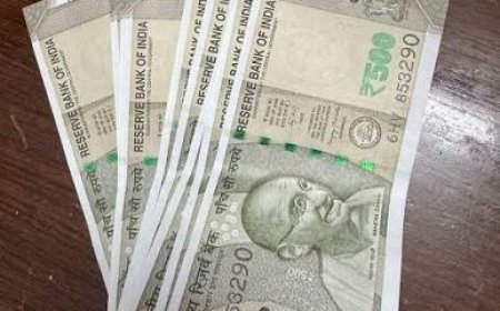 പ്രവാസി ക്ഷേമപെന്‍ഷന്‍; 32 കോടി അനുവദിച്ച് സർക്കാർ