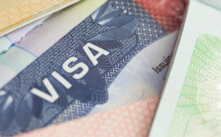 US preparing for largest mass visa revocation in history, targeting up to 200,000 people, officials say