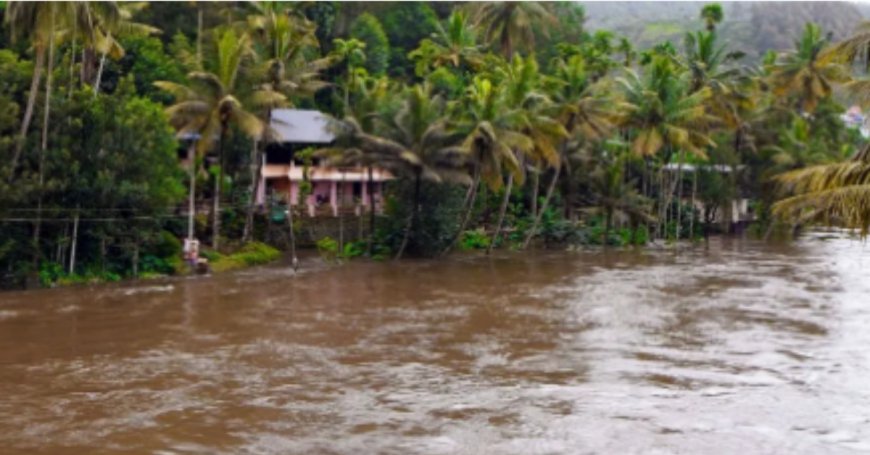 സംസ്ഥാനത്ത് കനത്ത മഴ; പുഴകളിൽ ജലനിരപ്പ് ഉയർന്നു