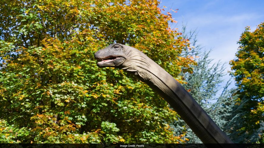 Scientists discover new dinosaur species in Zimbabwe, shed light on early evolution