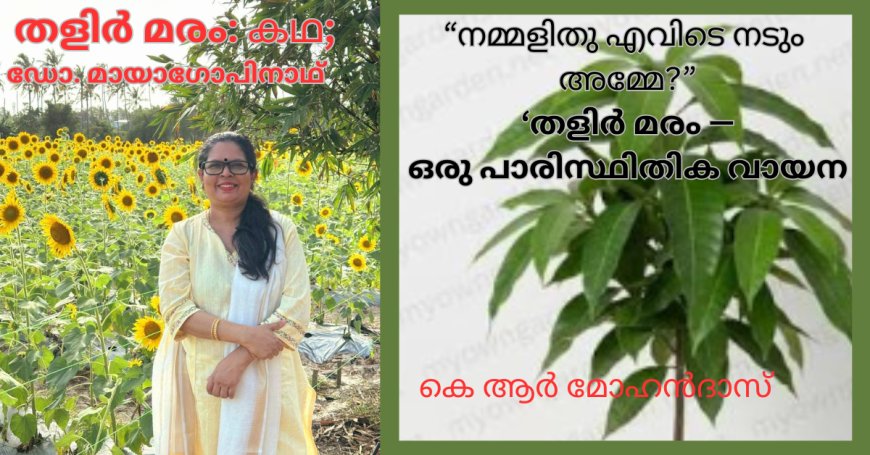  തളിർ മരം: കഥ; ഡോ. മായാ ഗോപിനാഥ്‌   