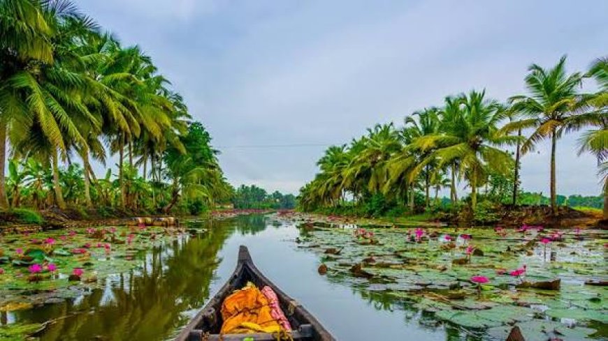 Kerala woos Arab tourists with eye on tourism boom