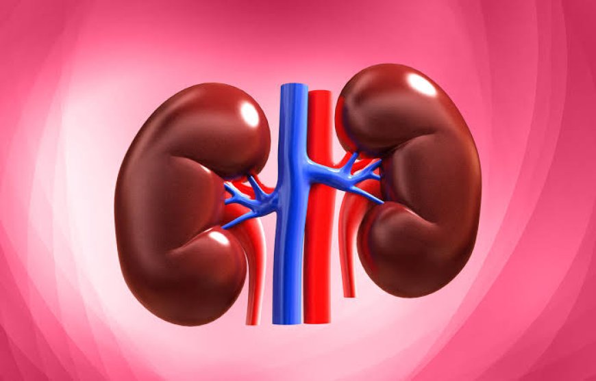 The best way to protect your kidneys is not drinking more water, not cutting protein, and definitely not waiting for dialysis
