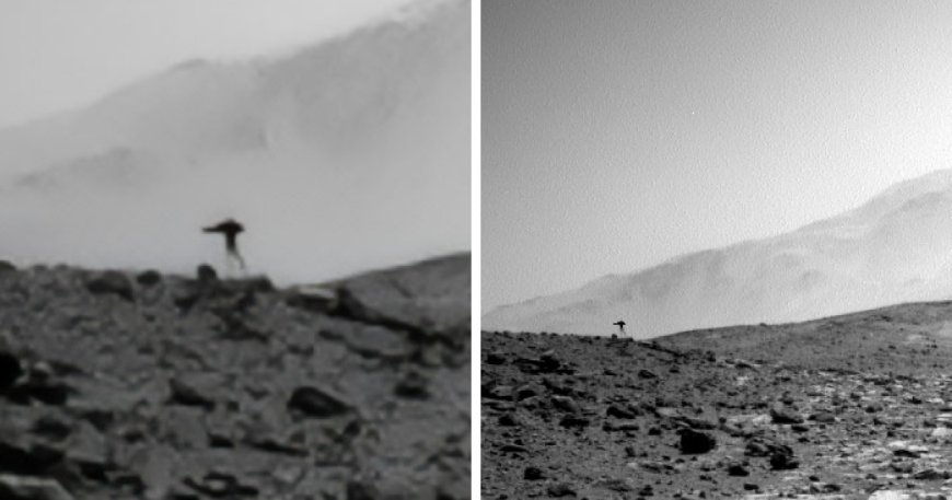 “Jellyfish” spotted in NASA Mars photo sparks frenzy as people dig for explanation