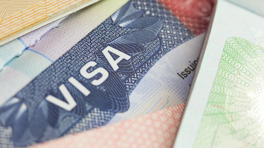 US preparing for largest mass visa revocation in history, targeting up to 200,000 people, officials say