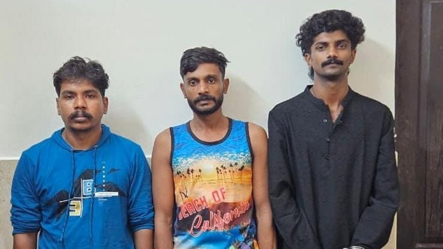 Kerala’s biggest MDMA bust: 12.8 kg drug worth ₹10 crore seized, 3 held