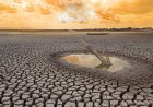 UN warns of 'supersized' El Niño as countries prepare for impact