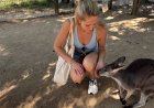 I moved from New York City to Australia a few years ago. These 6 things have surprised me the most