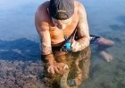 Man makes friends with a giant snake in the ocean, and the comments do not disappoint