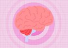 What happens to your brain when you read, according to a new study