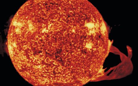 Scientist issues chilling warning over 'perfect storm' that could wipe out humanity