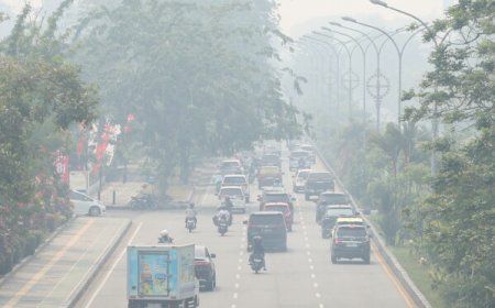 Toxic haze from Indonesian forest fires chokes Malaysian Borneo