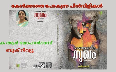കേള്‍ക്കാതെ പോകുന്ന പിന്‍വിളികള്‍: ബുക് റിവ്യൂ , കെ ആർ മോഹൻദാസ്