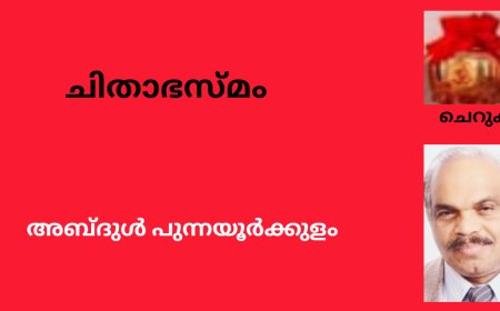 ചിതാഭസ്മം :ചെറുകഥ,  അബ്ദുൾ പുന്നയൂർക്കുളം