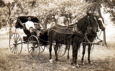 18 photos of everyday transportation before modern convenience
