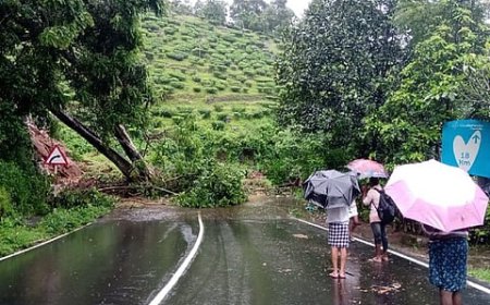 Heavy rains lash parts of Kerala