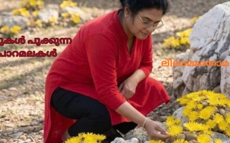 കല്ലുകൾ പൂക്കുന്ന പാറമലകൾ: ലീലാമ്മതോമസ്, ബോട്സ്വാന