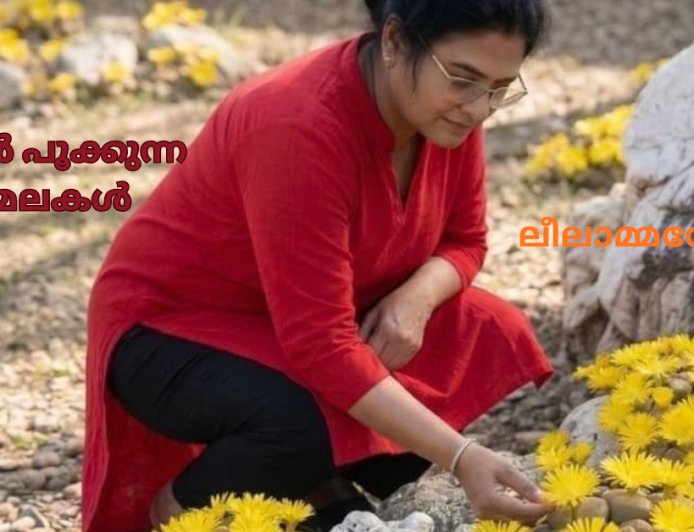കല്ലുകൾ പൂക്കുന്ന പാറമലകൾ: ലീലാമ്മതോമസ്, ബോട്സ്വാന