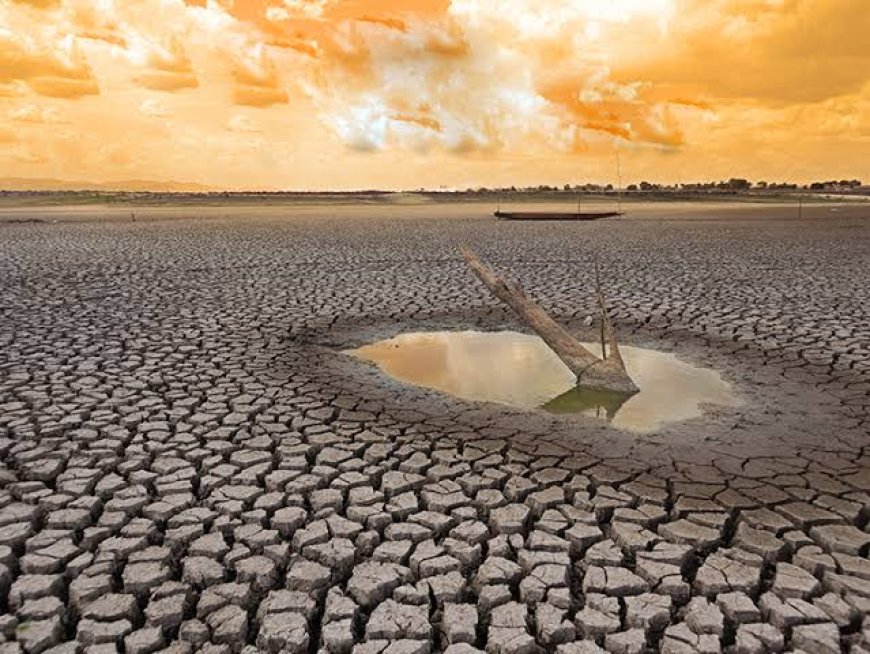 UN warns of 'supersized' El Niño as countries prepare for impact