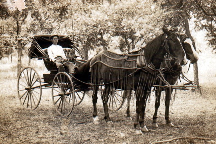18 photos of everyday transportation before modern convenience