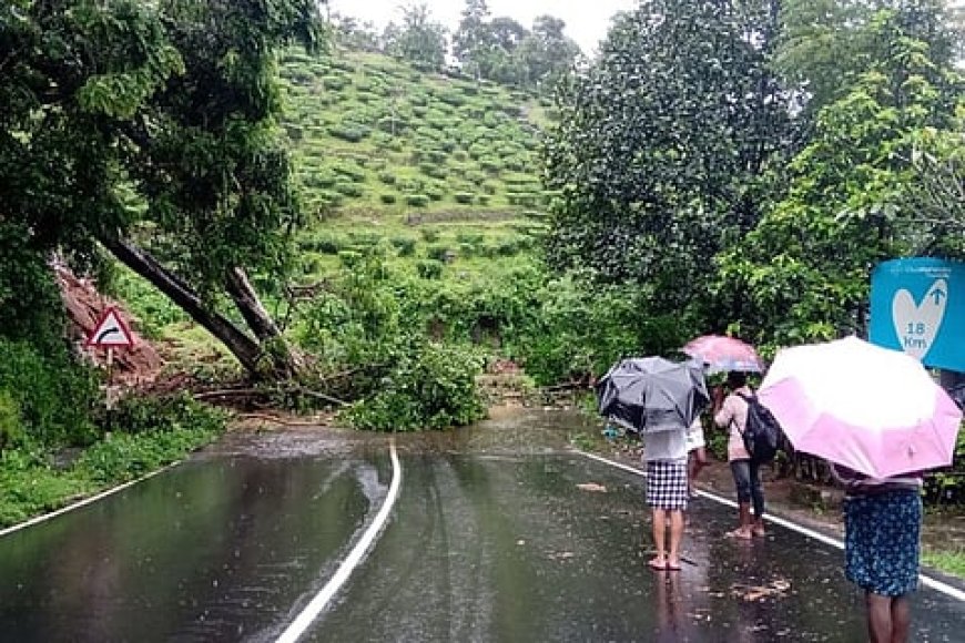 Heavy rains lash parts of Kerala