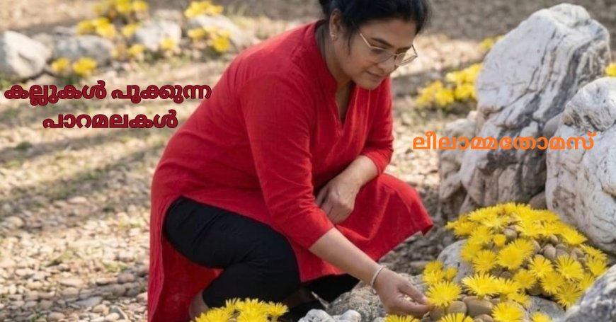 കല്ലുകൾ പൂക്കുന്ന പാറമലകൾ: ലീലാമ്മതോമസ്, ബോട്സ്വാന
