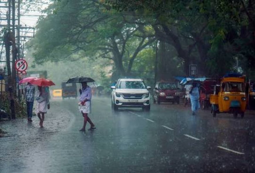 CM visits rain-hit Malappuram as Kerala's rain toll rises to nine
