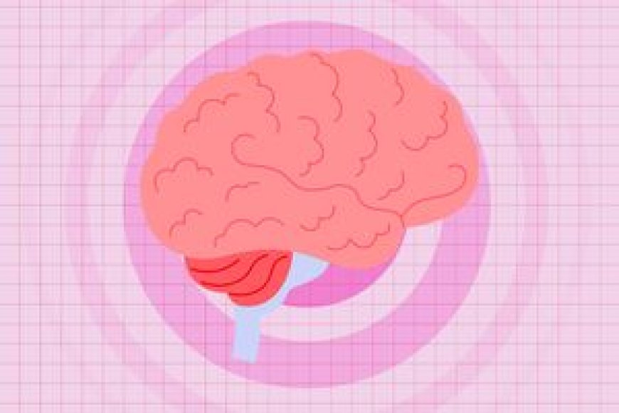 What happens to your brain when you read, according to a new study