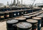 G7 to release up to 100 million barrels of diesel and crude oil in bid to stop soaring prices