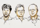 Nobel Prize awarded for revealing inner workings of the brain