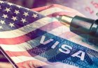US immigration fee hike takes effect today: Who faces higher charges and what it means for Indians