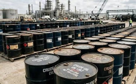 G7 to release up to 100 million barrels of diesel and crude oil in bid to stop soaring prices