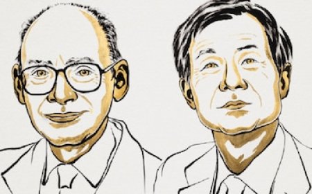 2026 Nobel in Chemistry goes to duo for solving century-old mystery