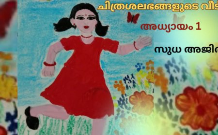 ചിത്രശലഭങ്ങളുടെ വീട്: സുധ അജിത്തിന്റെ നോവൽ ആരംഭിക്കുന്നു