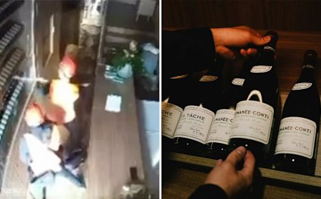Thieves steal 30,000 wine bottles worth €5m in Italy, reports say