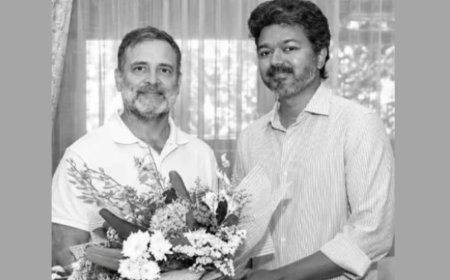 തമിഴ്നാട് മുഖ്യമന്ത്രി വിജയ്‌യുമായി കൂടിക്കാഴ്ച നടത്തി രാഹുൽ ഗാന്ധി