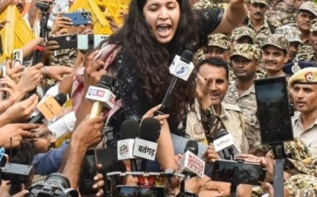 Why are India's 'cockroaches' protesting again?