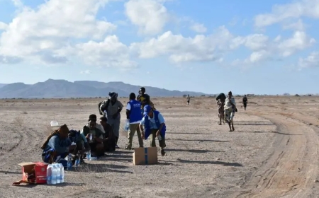 Children among 139 dead after boat capsizes off Djibouti, UN says