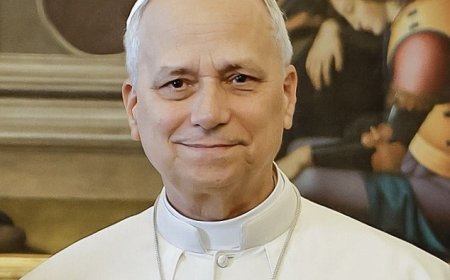 Pope diagnosed with lung cancer but had successful surgery, Vatican says