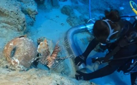 World's oldest shipwreck found off coast of Turkey