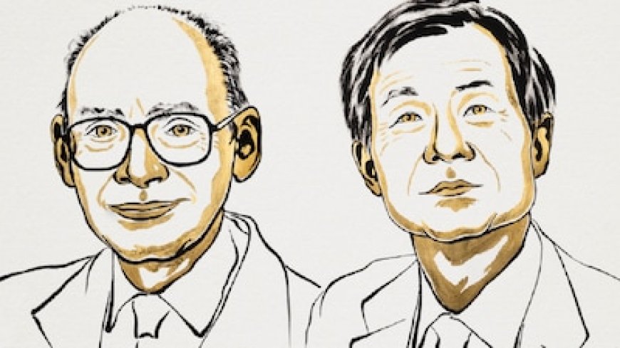 2026 Nobel in Chemistry goes to duo for solving century-old mystery